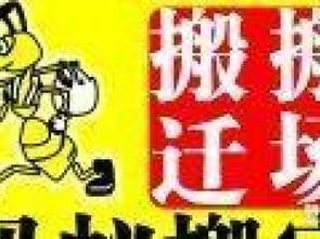 品牌卓越，服务暖心 深圳专业搬家与家政服务全面升级